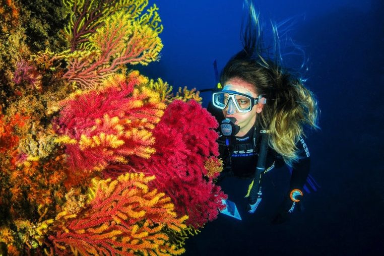 Scubaa Diving.