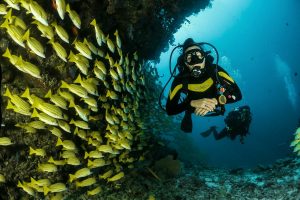 Scubaa Diving.
