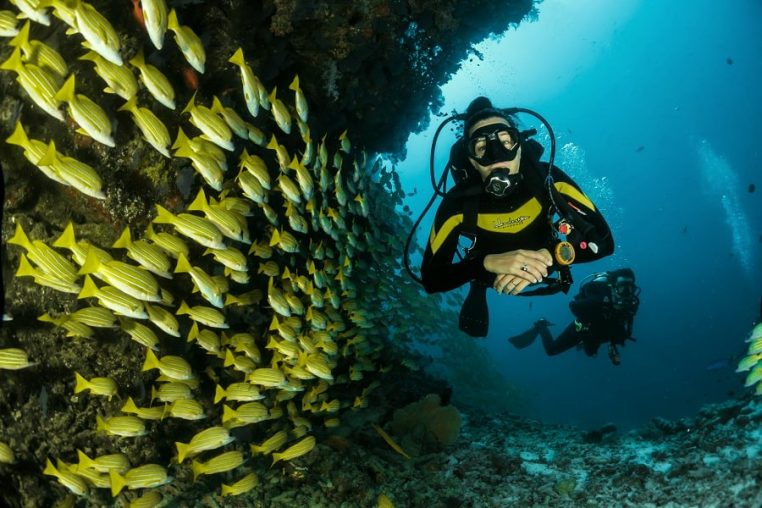 Scubaa Diving.