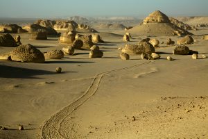 Bahariya Oasis, A UNESCO World Heritage Site.