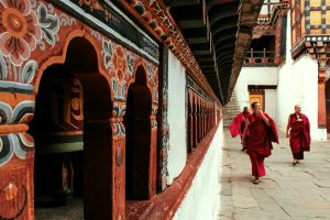 Paro.
