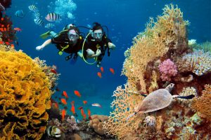 Scubaa Diving.